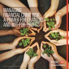 Managing Financial Crime Risk: A Primer for Charities and Not-For-Profits