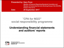 Understanding financial statements and auditors’ reports