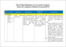 Basic Filing Obligations of a Guarantee Company under the Companies Ordinance (Cap.622)