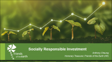 Achieving Social Responsibility in NGOs’ Investment