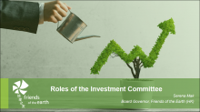 Roles of the Investment Committee