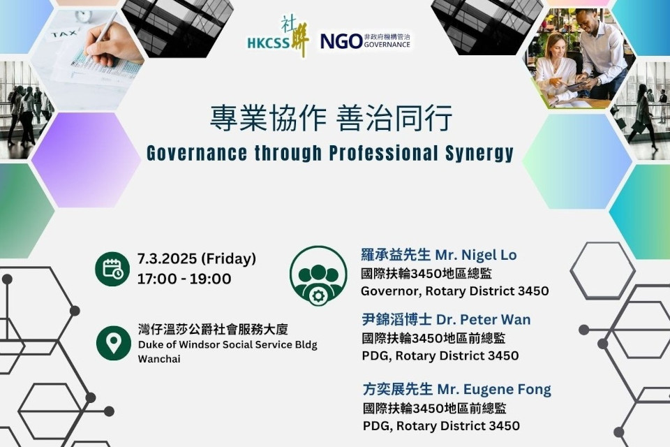 Governance through Professional Synergy