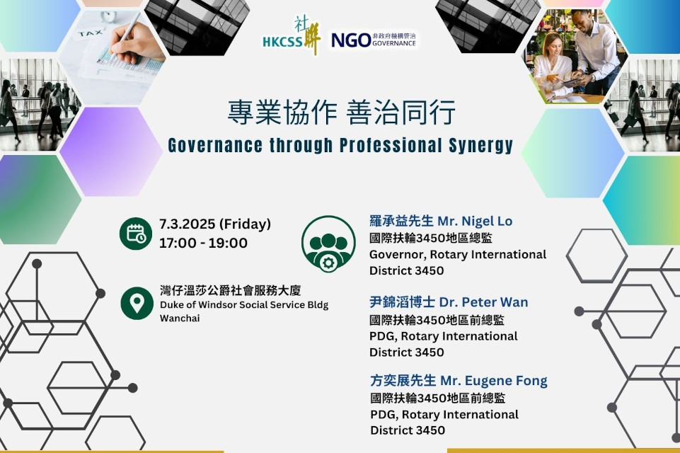 Governance through Professional Synergy