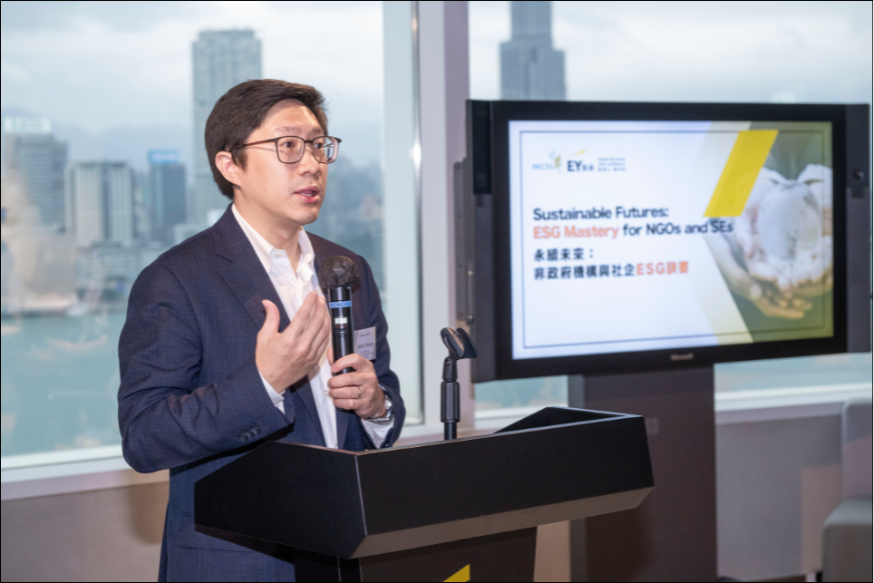 Sustainable Futures: ESG Mastery for NGOs and SEs