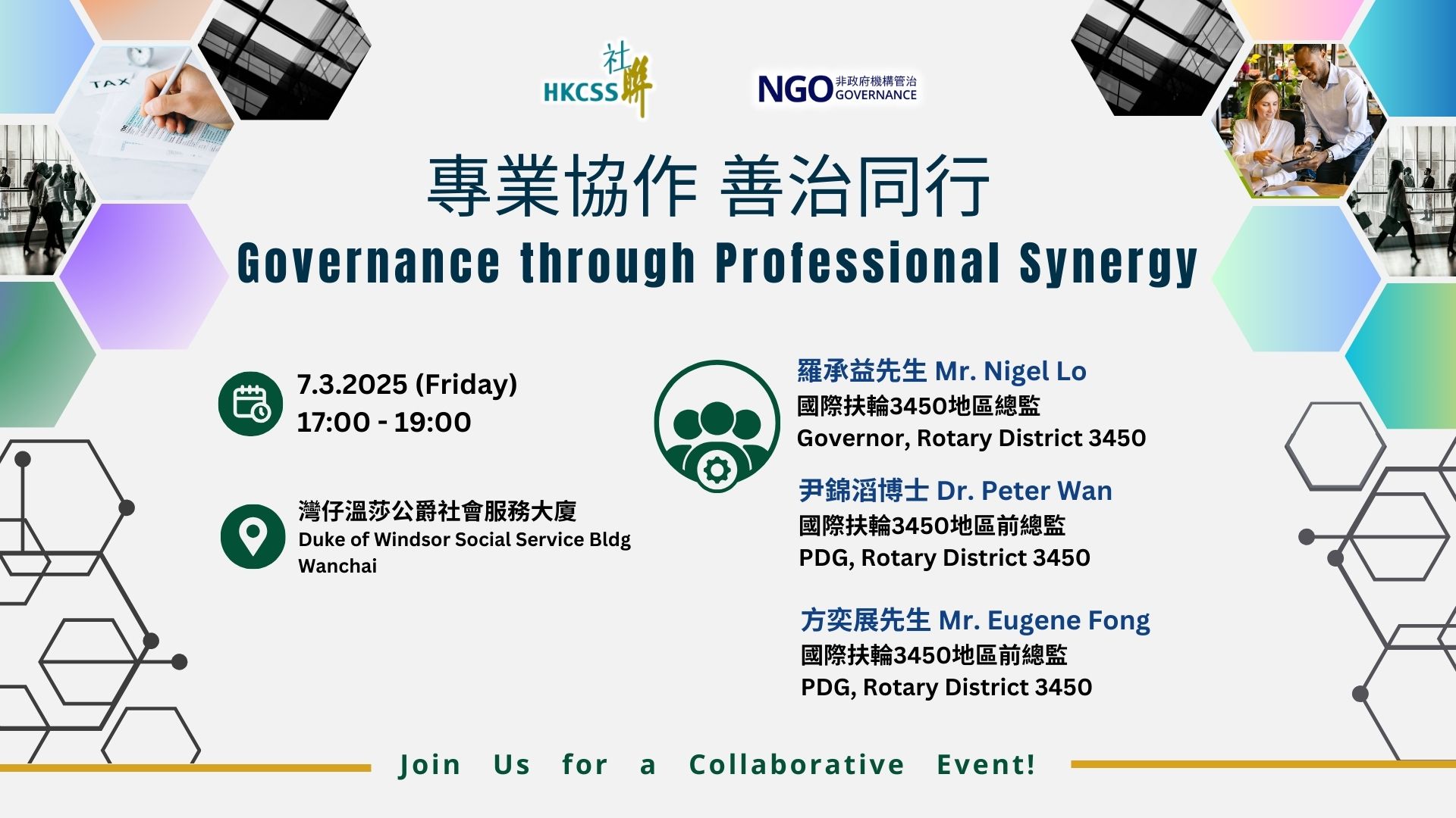 Governance through Professional Synergy