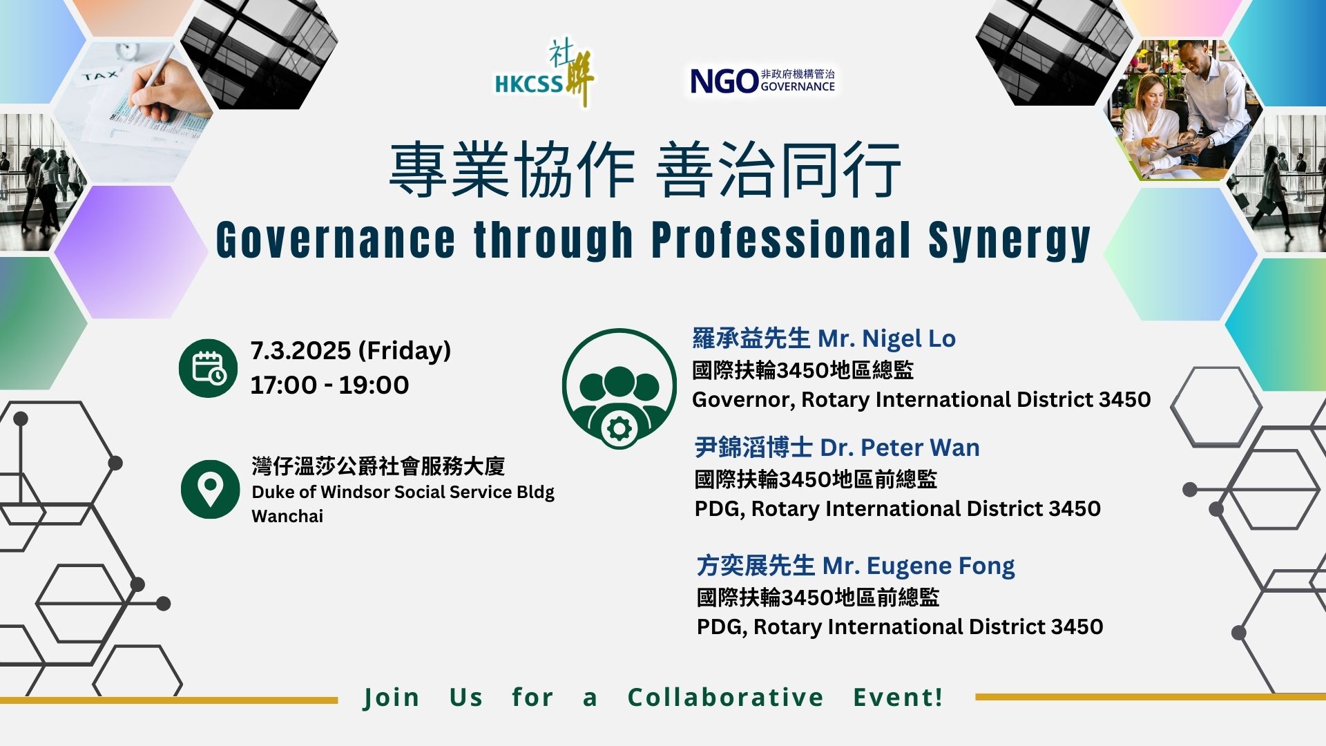 Governance through Professional Synergy