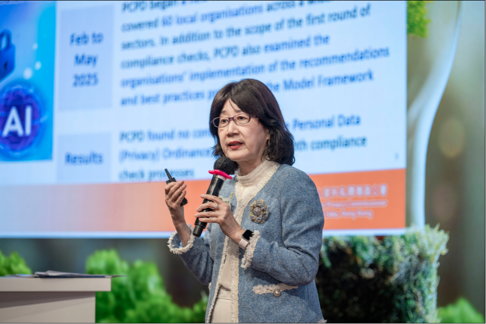 Navigating the Governance Challenge in the Digital Era