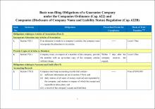 Basic non-filing Obligations of a Guarantee Company under the Companies Ordinance (Cap. 622) and Companies (Disclosure of Company Name and Liability Status) Regulation (Cap. 622B)