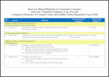 Basic Non-filing Obligations of a Guarantee Company under the Companies Ordinance (Cap. 622) and Companies (Disclosure of Company Name and Liability Status) Regulation (Cap. 622B)